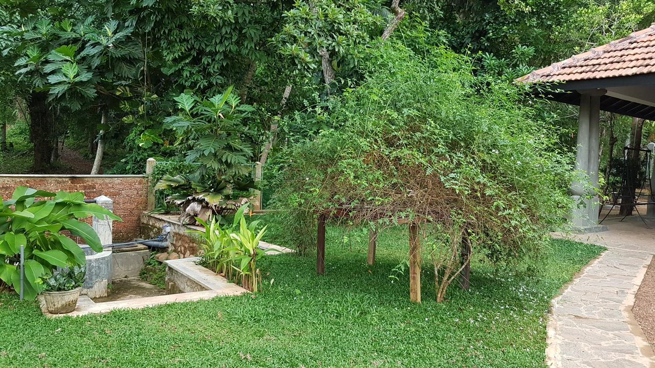 Siriniwasa Luxury Villa With Private Pool Induruwa Ngoại thất bức ảnh